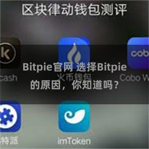 Bitpie官网 选择Bitpie的原因，你知道吗？