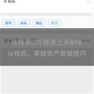 比特派iOS 快速上手Bitpie钱包，多链资产管理技巧