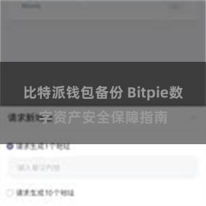 比特派钱包备份 Bitpie数字资产安全保障指南