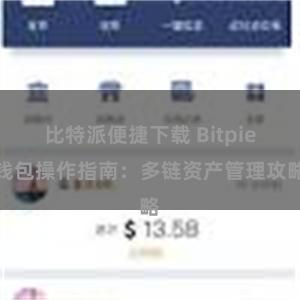 比特派便捷下载 Bitpie钱包操作指南：多链资产管理攻略