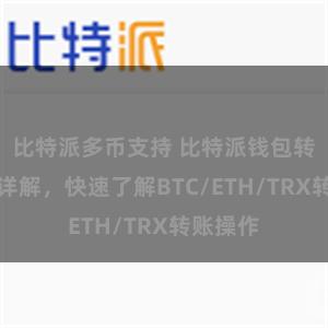 比特派多币支持 比特派钱包转账教程详解，快速了解BTC/ETH/TRX转账操作