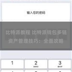 比特派教程 比特派钱包多链资产管理技巧：全面攻略