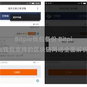 Bitpie钱包备份 Bitpie钱包支持的区块链网络全面解析