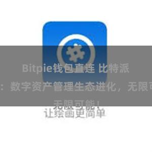 Bitpie钱包直连 比特派钱包：数字资产管理生态进化，无限可能！