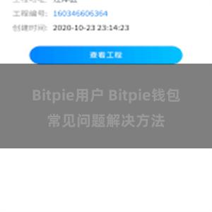 Bitpie用户 Bitpie钱包常见问题解决方法