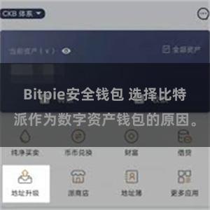 Bitpie安全钱包 选择比特派作为数字资产钱包的原因。