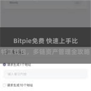 Bitpie免费 快速上手比特派钱包，多链资产管理全攻略