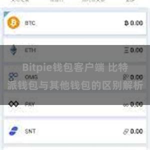 Bitpie钱包客户端 比特派钱包与其他钱包的区别解析