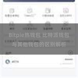 Bitpie热钱包 比特派钱包与其他钱包的区别解析