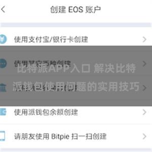 比特派APP入口 解决比特派钱包使用问题的实用技巧