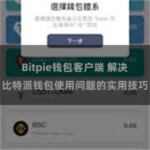 Bitpie钱包客户端 解决比特派钱包使用问题的实用技巧