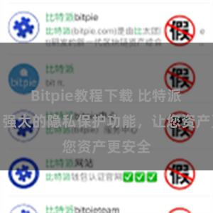 Bitpie教程下载 比特派钱包：强大的隐私保护功能，让您资产更安全