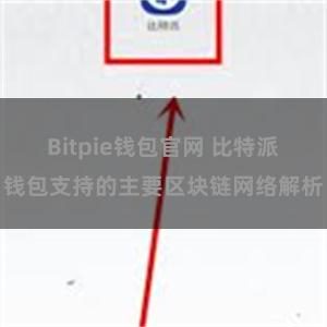 Bitpie钱包官网 比特派钱包支持的主要区块链网络解析