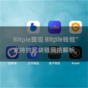 Bitpie提现 Bitpie钱包支持的区块链网络解析