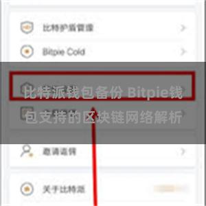 比特派钱包备份 Bitpie钱包支持的区块链网络解析