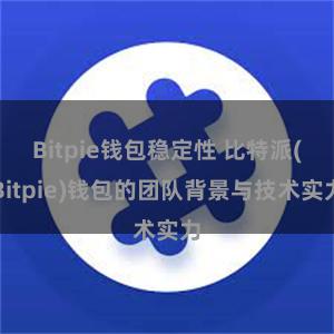 Bitpie钱包稳定性 比特派(Bitpie)钱包的团队背景与技术实力