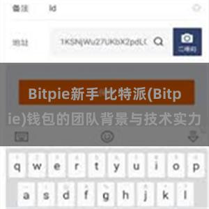 Bitpie新手 比特派(Bitpie)钱包的团队背景与技术实力