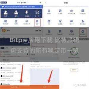 Bitpie应用下载 比特派钱包支持的所有稳定币一览